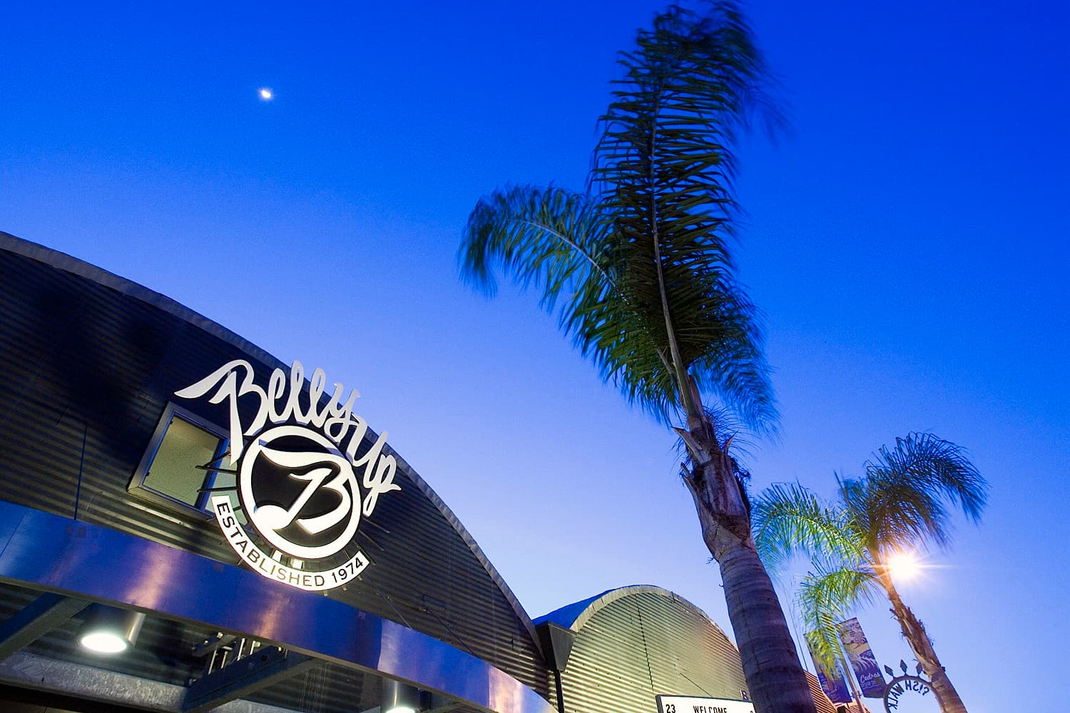 Belly Up Tavern: A Unique Musical Haven